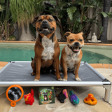 Ultimate Black Friday Baller Pup Bundle