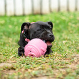 Poppy Pig Treat Dispenser