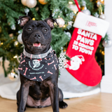 Holiday Stocking - Free Gift