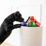 Chewzilla® X PowerFlex™ Bundle