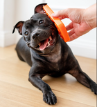 Chewzilla® iBone