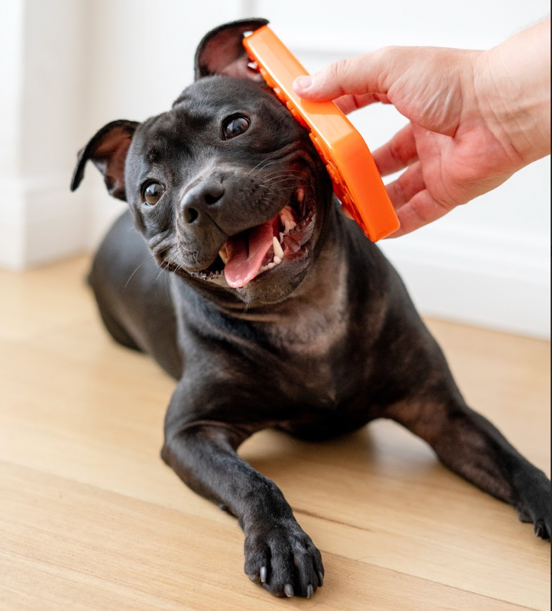 Chewzilla® iBone