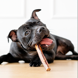 Bully Sticks (Beef Pizzle Thick)