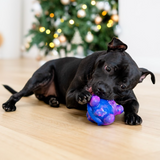 Chewzilla® X PowerFlex™ Bundle