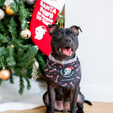 Christmas Bandana - Free Gift