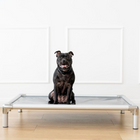 Chew-Proof Outdoor Dog Bed