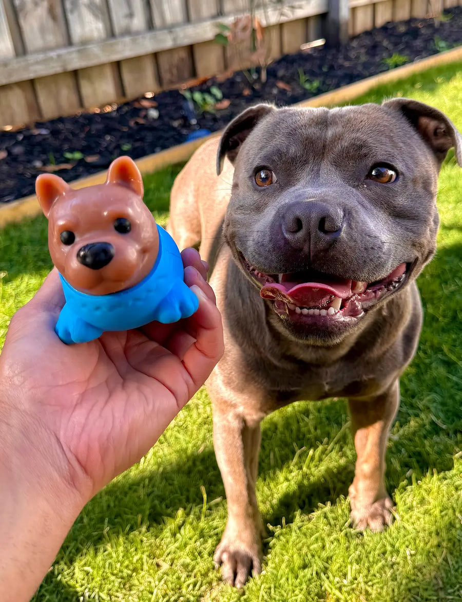 Staffy dog playing with PowerFlex Jungle Trek toy outdoors