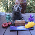 Treat & Toy Combo (Chewzilla®)