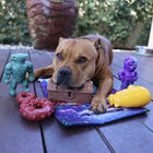 Chewzilla® Deep Sea Mission