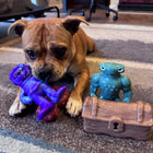 Treat & Toy Combo (Chewzilla®)