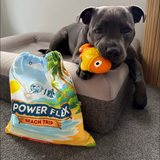 Treat & Toy Combo (PowerFlex™ Beach Trip)