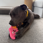 PowerFlex™ Beach Trip