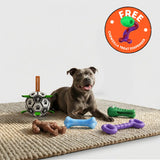Best Selling Toys Bundle