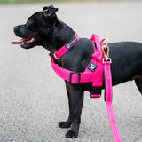 Durable Dog Harness