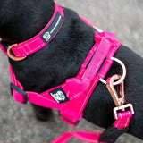 Durable Dog Harness