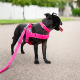 Durable Dog Harness