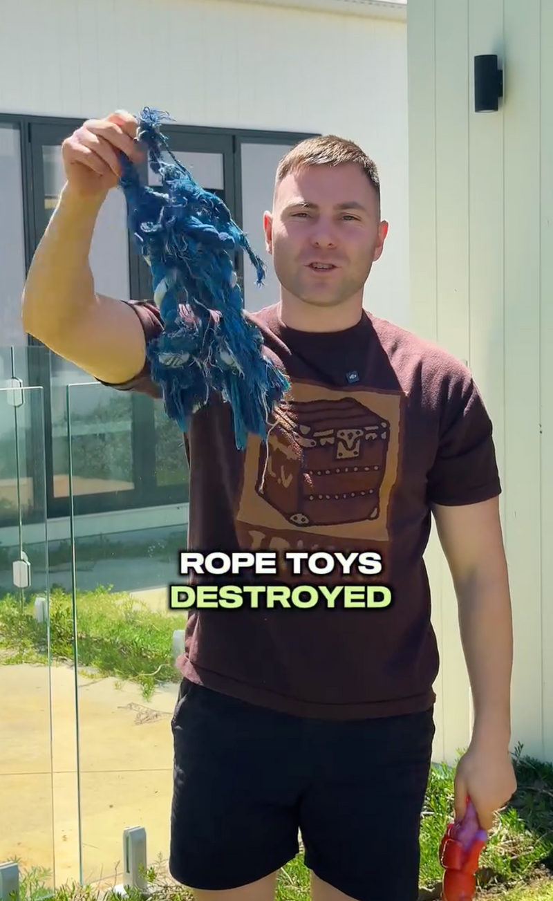 The toys they won't be able to destroy