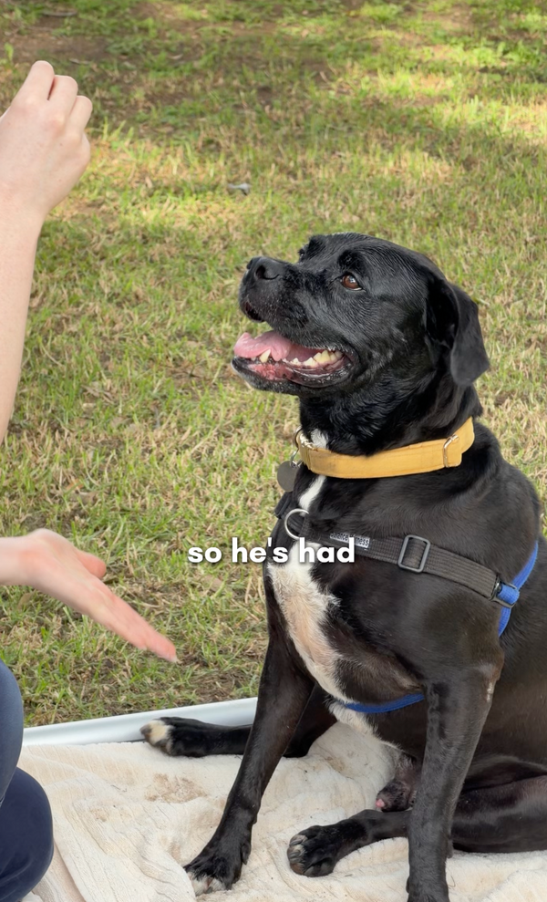 Murphy