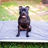 Chew-Proof Bed & Cover Bundle