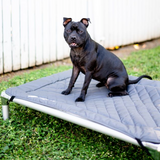 Chew-Proof Bed & Cover Bundle