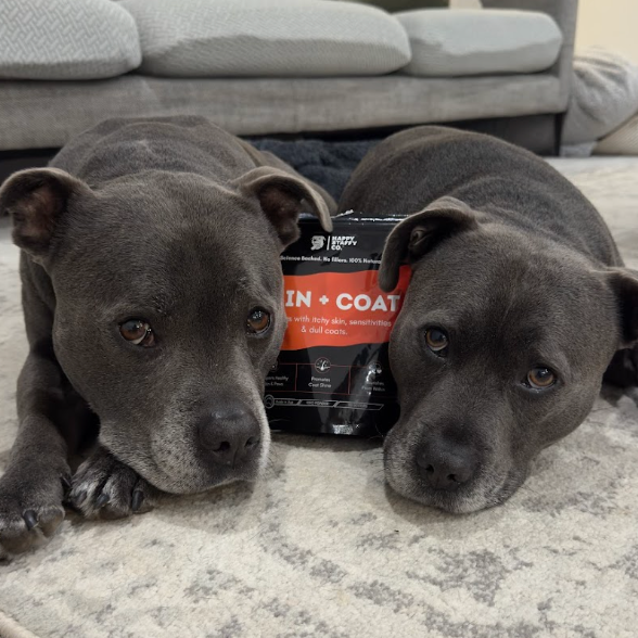 Skin & Coat Dog Supplement photo 9