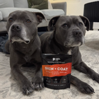 Skin & Coat Dog Supplement