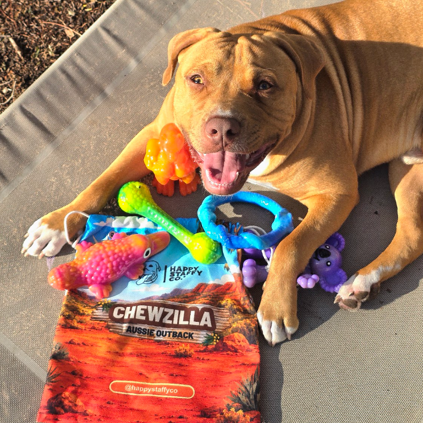 Chewzilla® Aussie Outback Collection photo 3