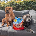 Chewzilla® Aussie Outback Collection