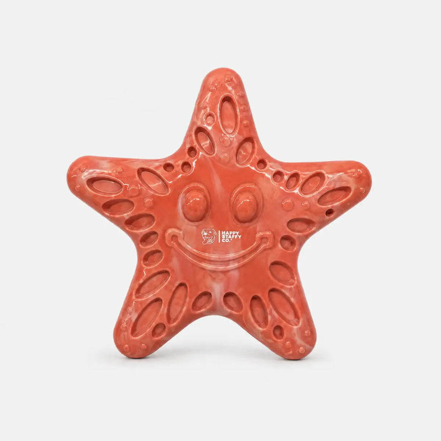 Smiley Sea Star photo 1