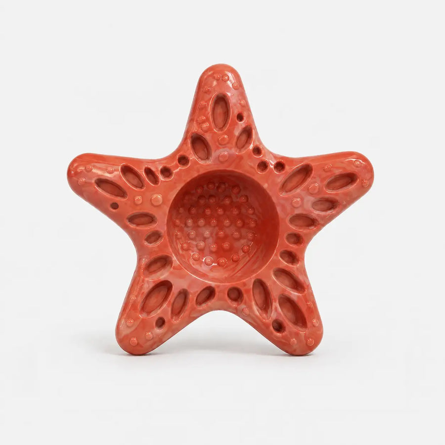 Smiley Sea Star photo 2
