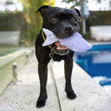 Treat & Toy Combo (Classic Collection)