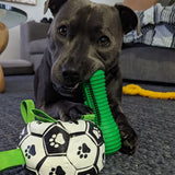 Crocodile Dental Chew