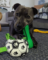 Crocodile Dental Chew