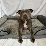 Ultimate Black Friday Baller Pup Bundle