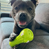 Crocodile Dental Chew