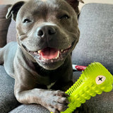 Crocodile Dental Chew