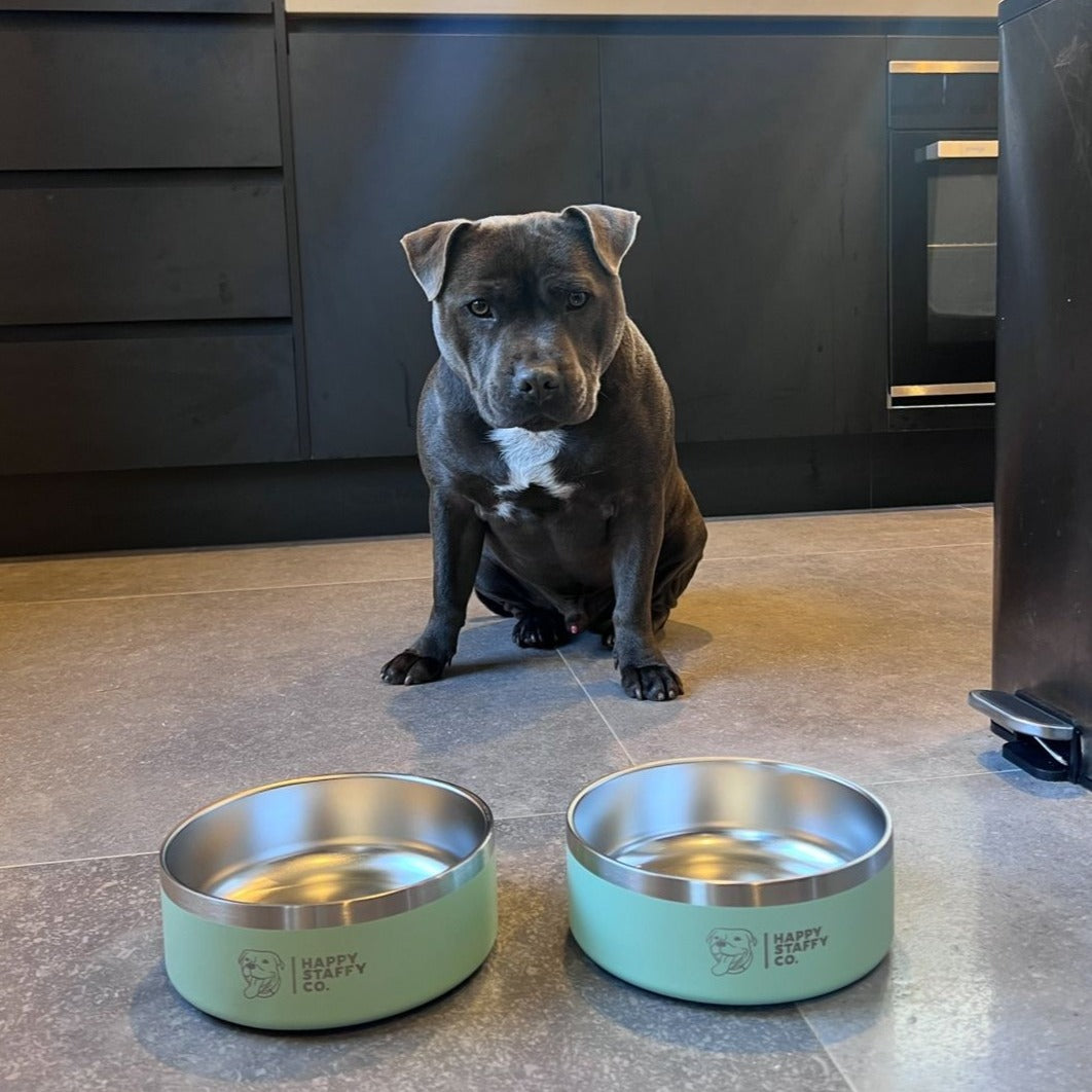 Food & Water Bowl Combo