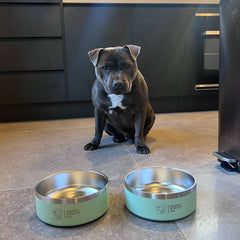Food & Water Bowl Combo