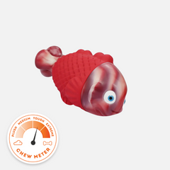 Squeaky Fish