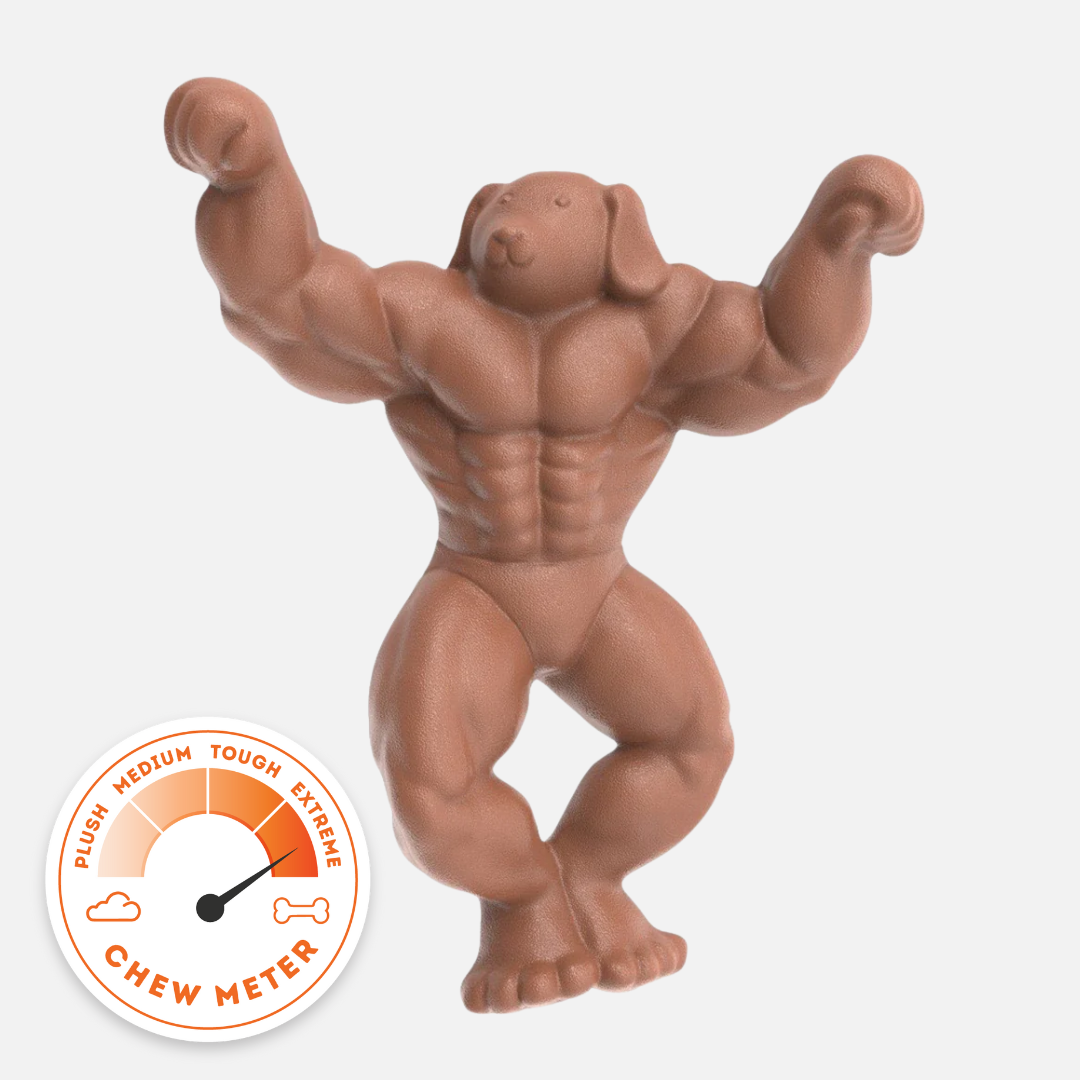Staffy Schwarzenegger