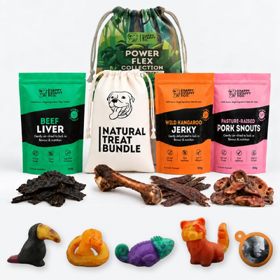 Treat & Toy Combo (PowerFlex Jungle Trek): Natural Treat Bundle with the PowerFlex Jungle Trek toys