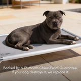 Chew-Proof Outdoor Dog Bed