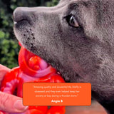 Chewzilla® Galactic Quest Collection