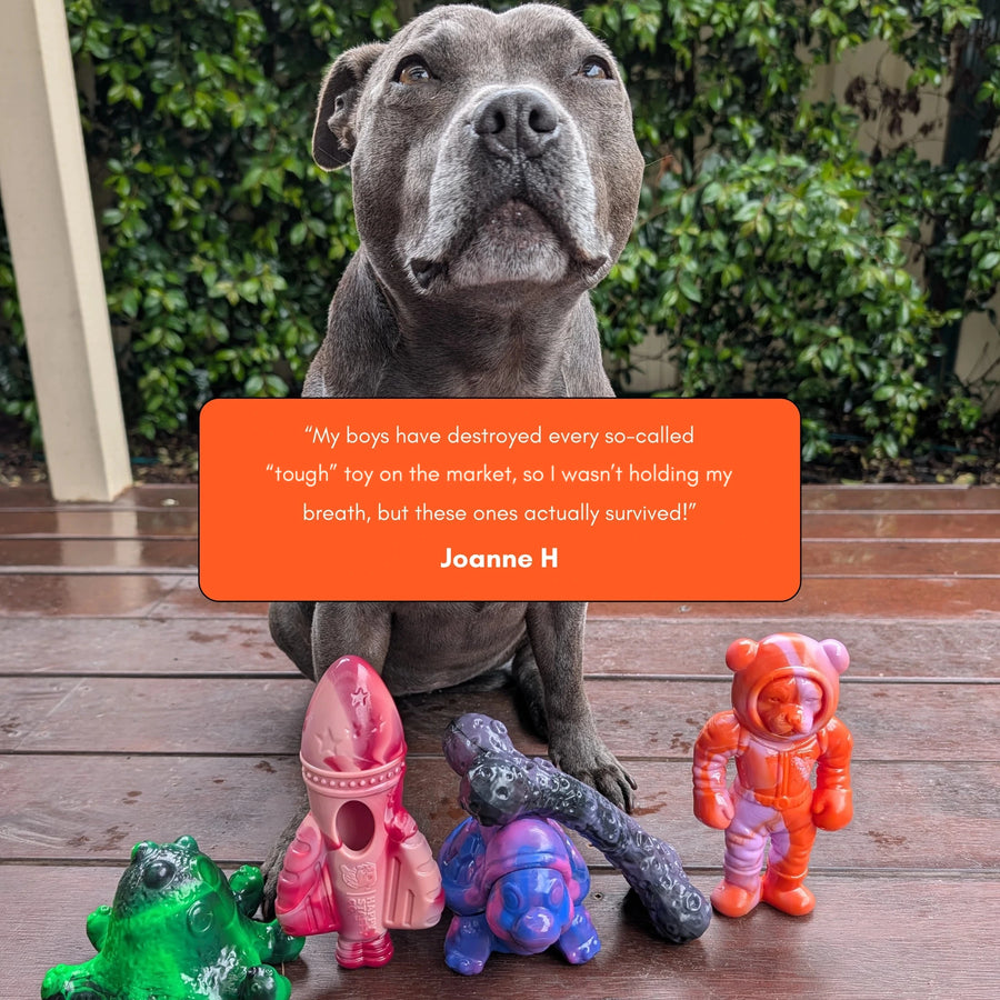 Chewzilla® Galactic Quest Collection photo 9
