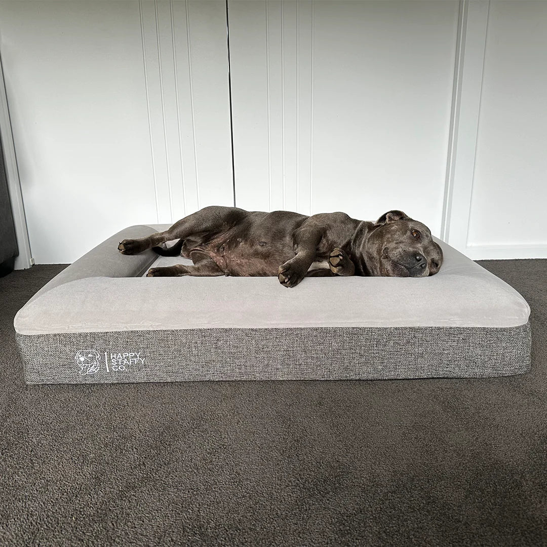 Orthopedic Memory Foam Bed + Pure Cotton Cover