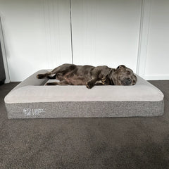 Orthopedic Memory Foam Bed + Pure Cotton Cover