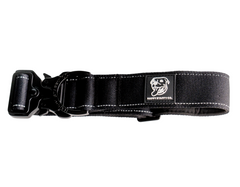 Durable Staffy Collar