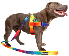 Walkies Starter Pack