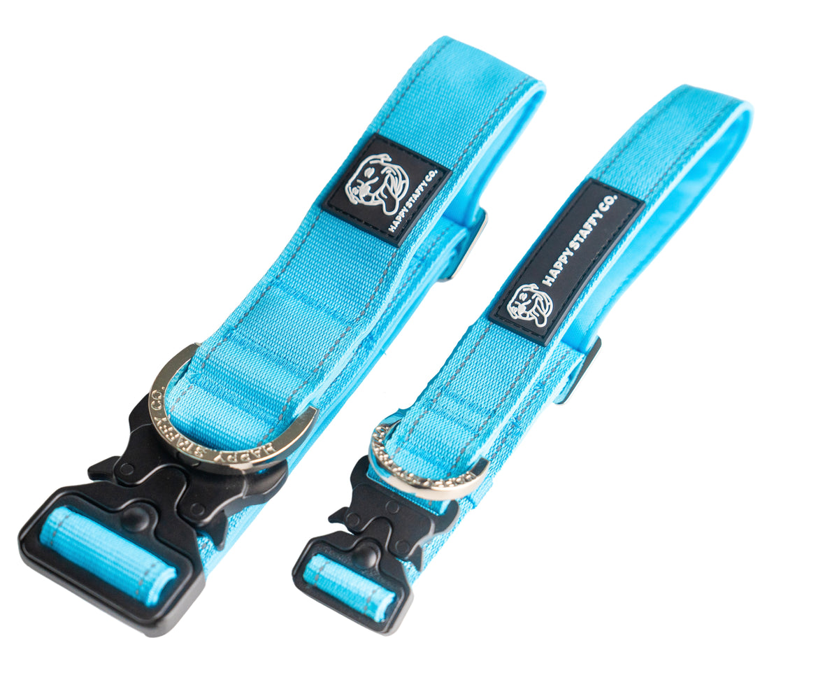 Durable Staffy Collar