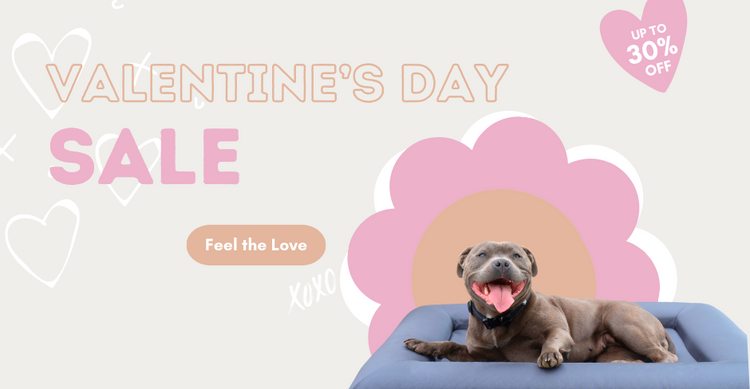 Banner- Happy Staffy Co